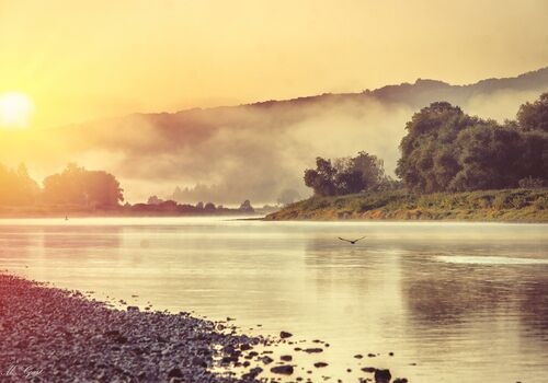 Meißen Elbe  (MATE Theme für Contao)